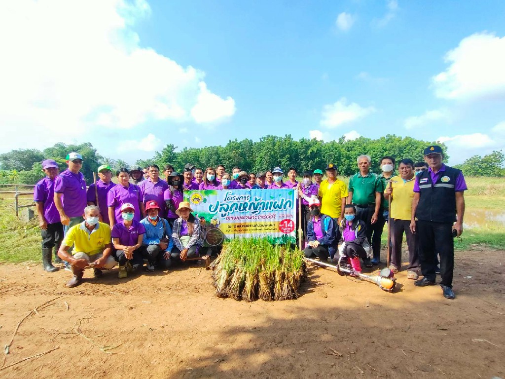 โครงการปลูกหญ้าแฝกตามแนวพระราชดำริ ประจำปีงบประมาณ 2565